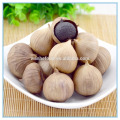 Chinese Black Garlic Seeds, China Black Garlic Extract